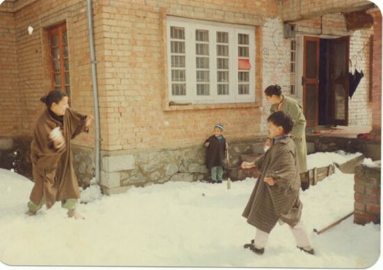 Srinagar House